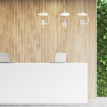 Φόρτωση εικόνας στο εργαλείο προβολής Συλλογής, NETTO ΚΡΕΜΑΣΤΟ Φ/Σ 1ΧGU10 ΛΕΥΚΟ ΜΕΤΑΛΛΙΚΟ D25X20XH100CM PARACHUTE