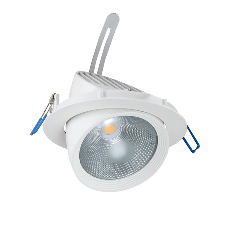 WHITE LED RECESSED MOVABLE LUMINAIRE 30W 6000K 60° 2500LM 230V Ra80