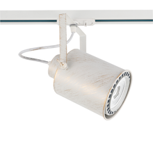Φόρτωση εικόνας στο εργαλείο προβολής Συλλογής, ^TRACK SPOT PAR30 3C WHITE GOLD BRUSHED No13
